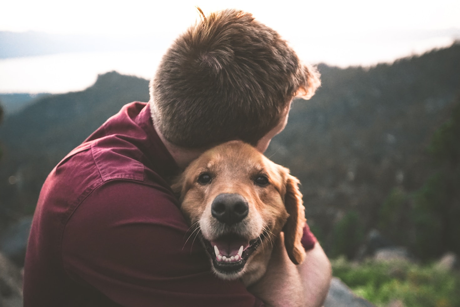 Creating a Safe and Loving Home for Your Pet