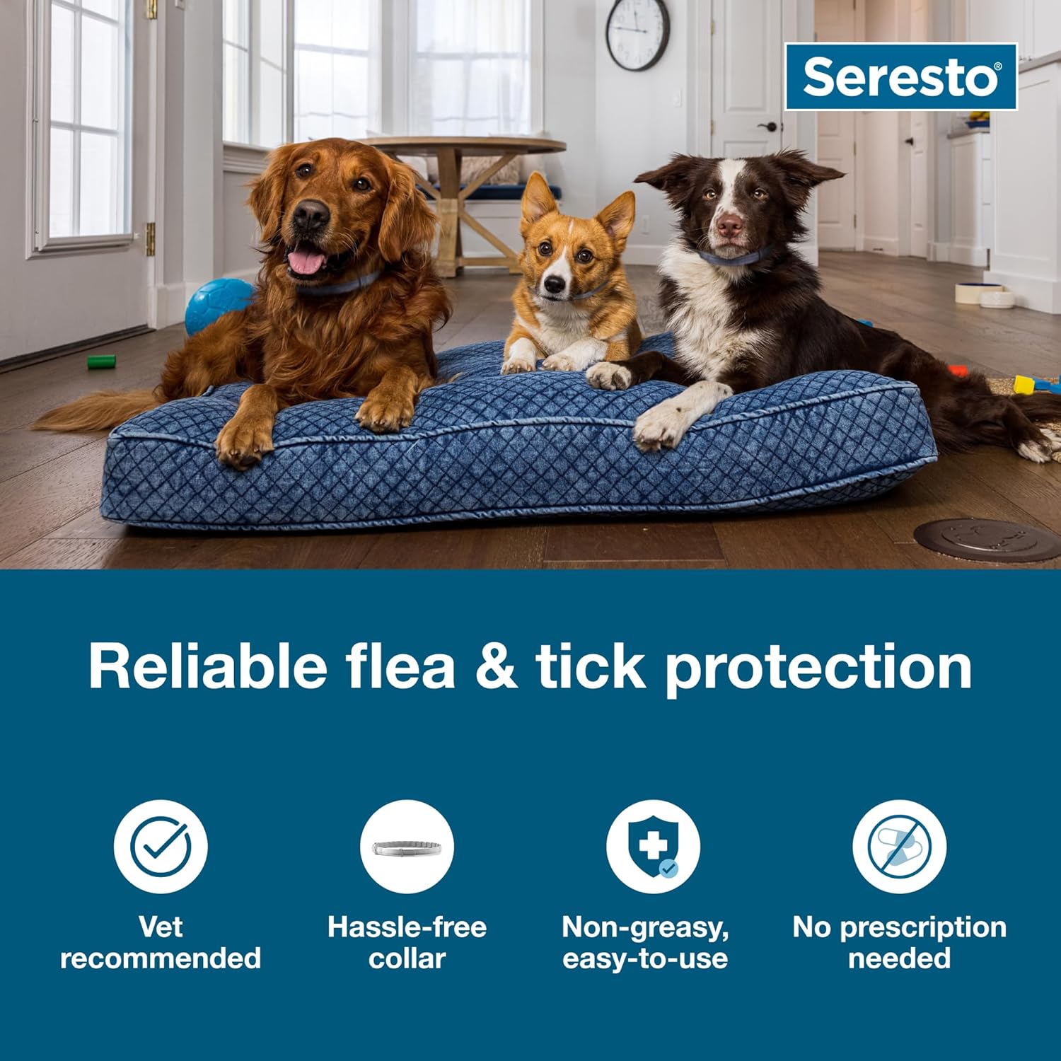 Seresto Flea & Tick Collar For Dogs Over 18 lbs., Treatment & Prevention, Vet-Recommend, 8 Month Protection - Image 3