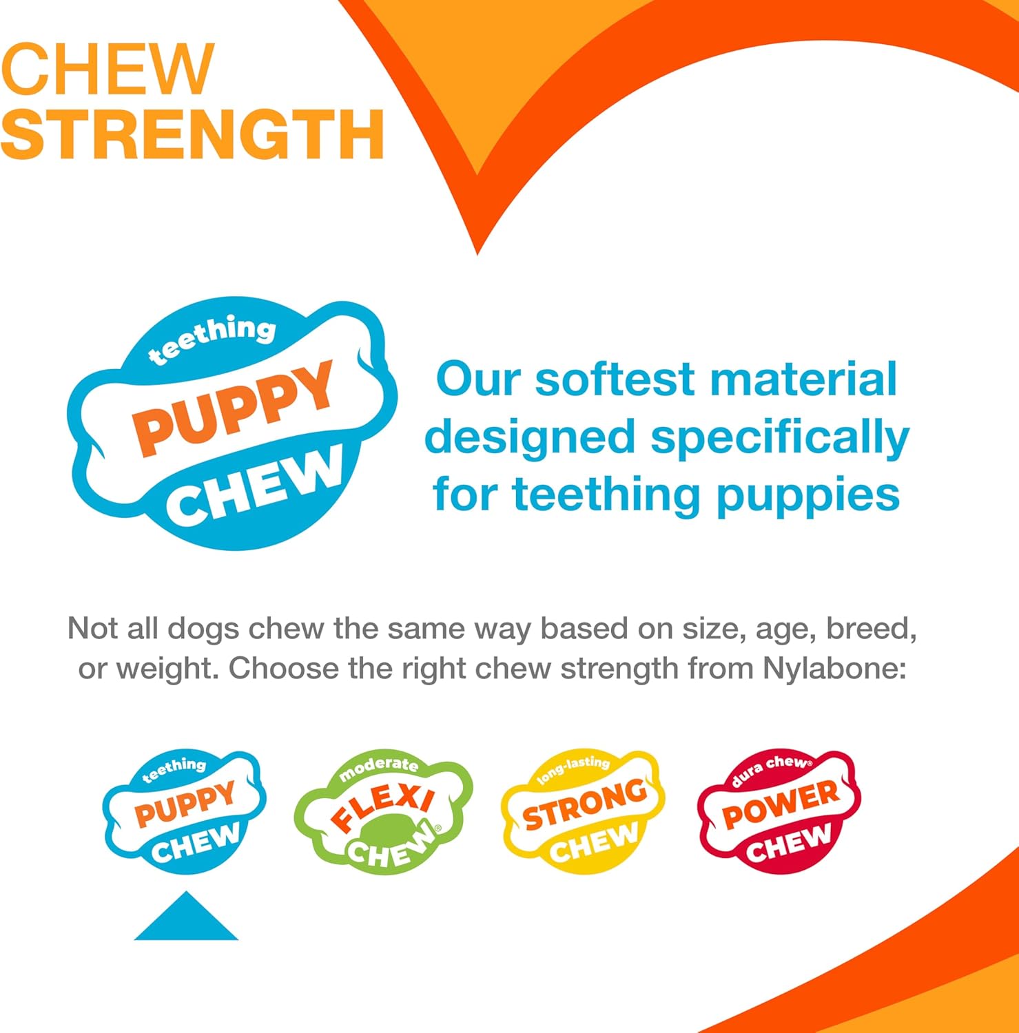 Nylabone New Puppy Starter Kit, Chew Toys & Natural Chew Treat for Puppies, Puppy Enrichment Teething Toys, Blue, Long Lasting Chicken & Bacon Flavor, Small Dogs - Up to 25 Ibs, 3 Pack - Image 4