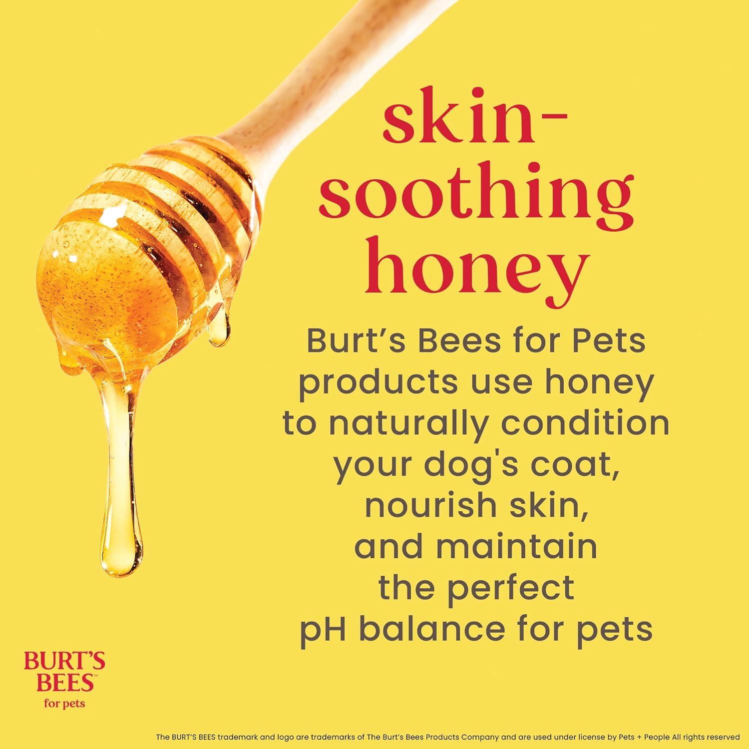 Burt's Bees for Pets Itch Soothing Shampoo with Honeysuckle, 95% Natural Origin, Dog Shampoo for Itchy Skin Relief, pH Balanced, Free of Sulfates and Parabens, 16 Fl Oz - Image 5