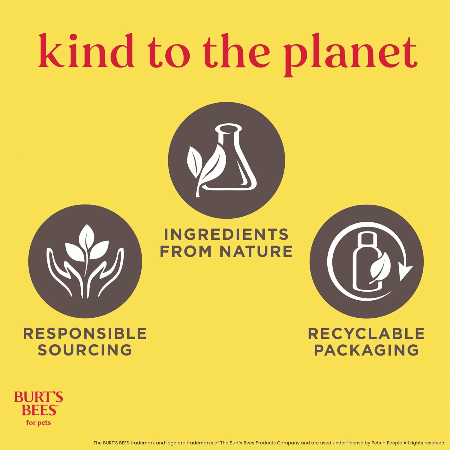 Burt's Bees for Pets Itch Soothing Shampoo with Honeysuckle, 95% Natural Origin, Dog Shampoo for Itchy Skin Relief, pH Balanced, Free of Sulfates and Parabens, 16 Fl Oz - Image 8