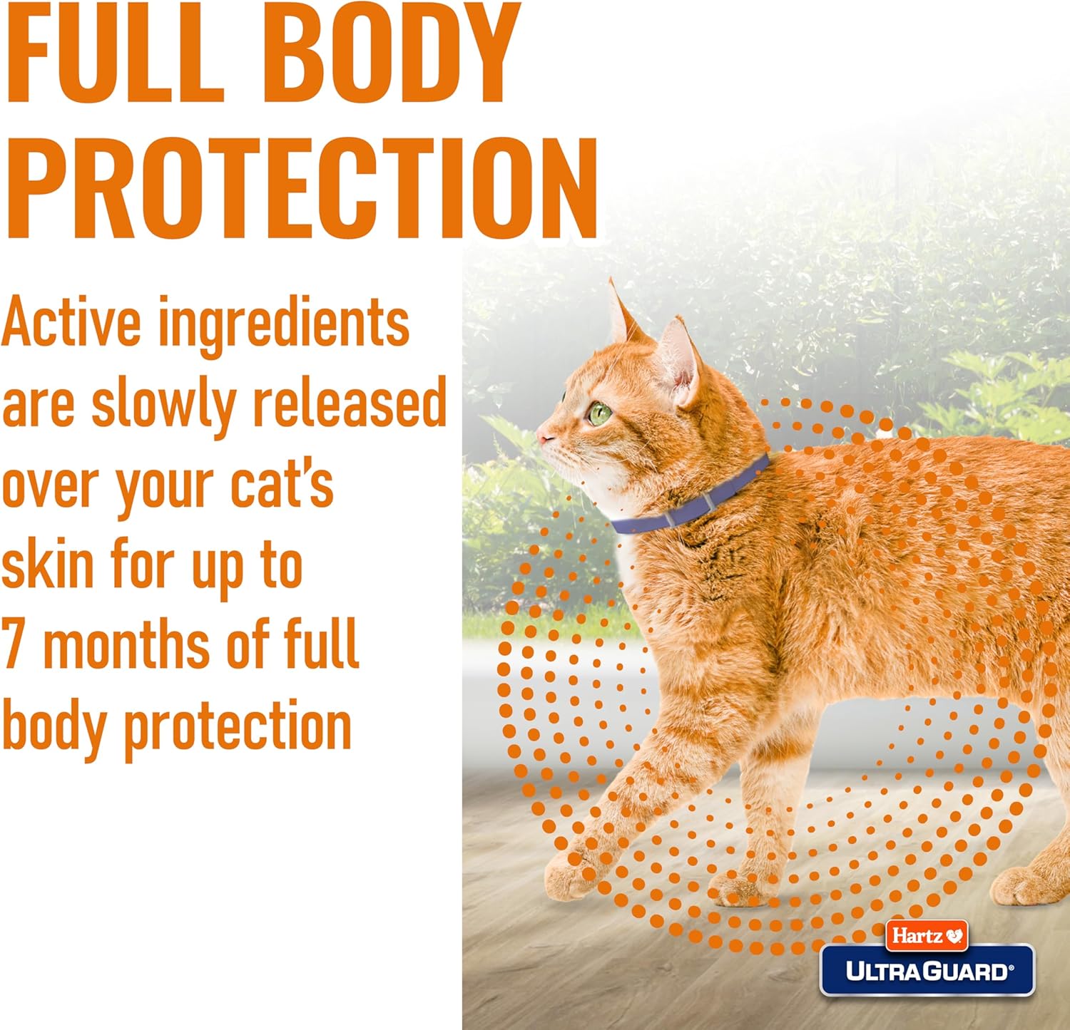 Hartz UltraGuard Purple Flea & Tick Collar for Cats and Kittens - 7 Month Protection - Image 4