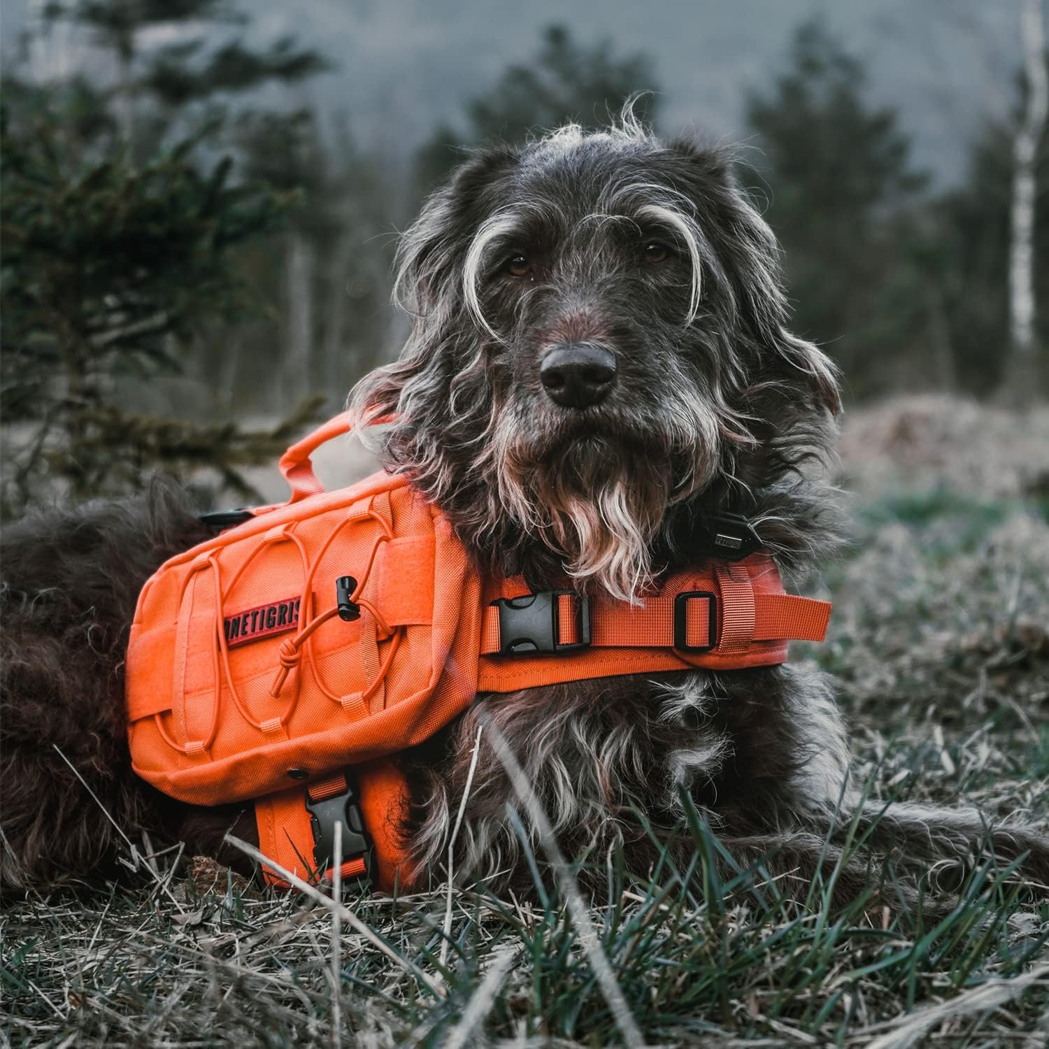 OneTigris Dog Backpack for Medium & Large Dogs, Mammoth Nylon Dog Pack Tactical Backpack Harness with Side Pockets for Hiking Walking Training Running - Image 6