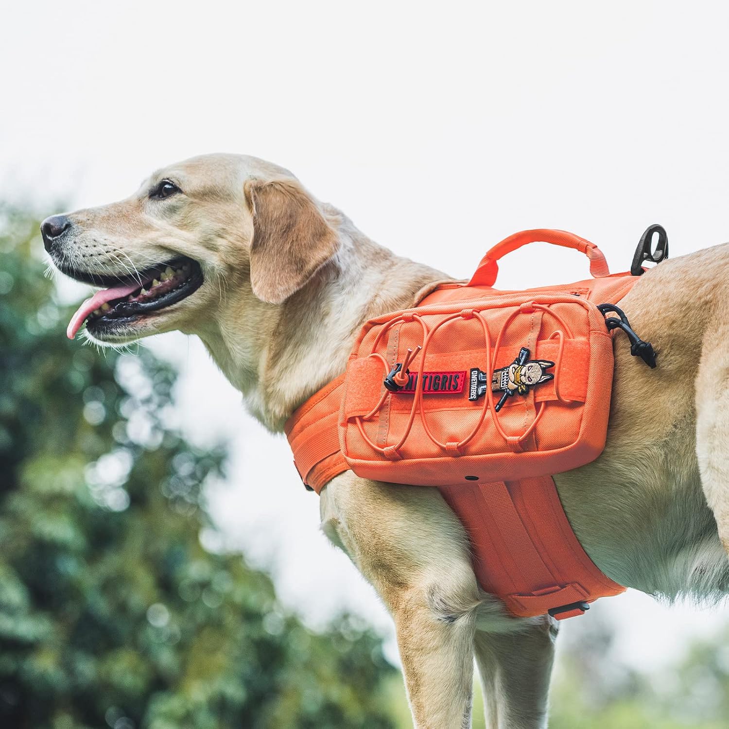 OneTigris Dog Backpack for Medium & Large Dogs, Mammoth Nylon Dog Pack Tactical Backpack Harness with Side Pockets for Hiking Walking Training Running - Image 7