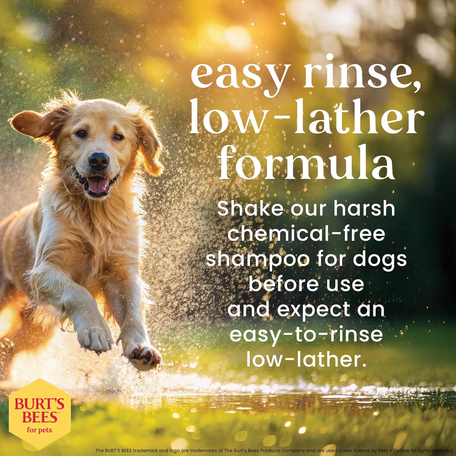 Burt's Bees for Pets Deodorizing Dog Shampoo with Apple and Rosemary, 95% Natural Origin, pH Balanced Deodorizing Shampoo for Smelly Dogs, Free of Sulfates, 16 Fl Oz - Image 2