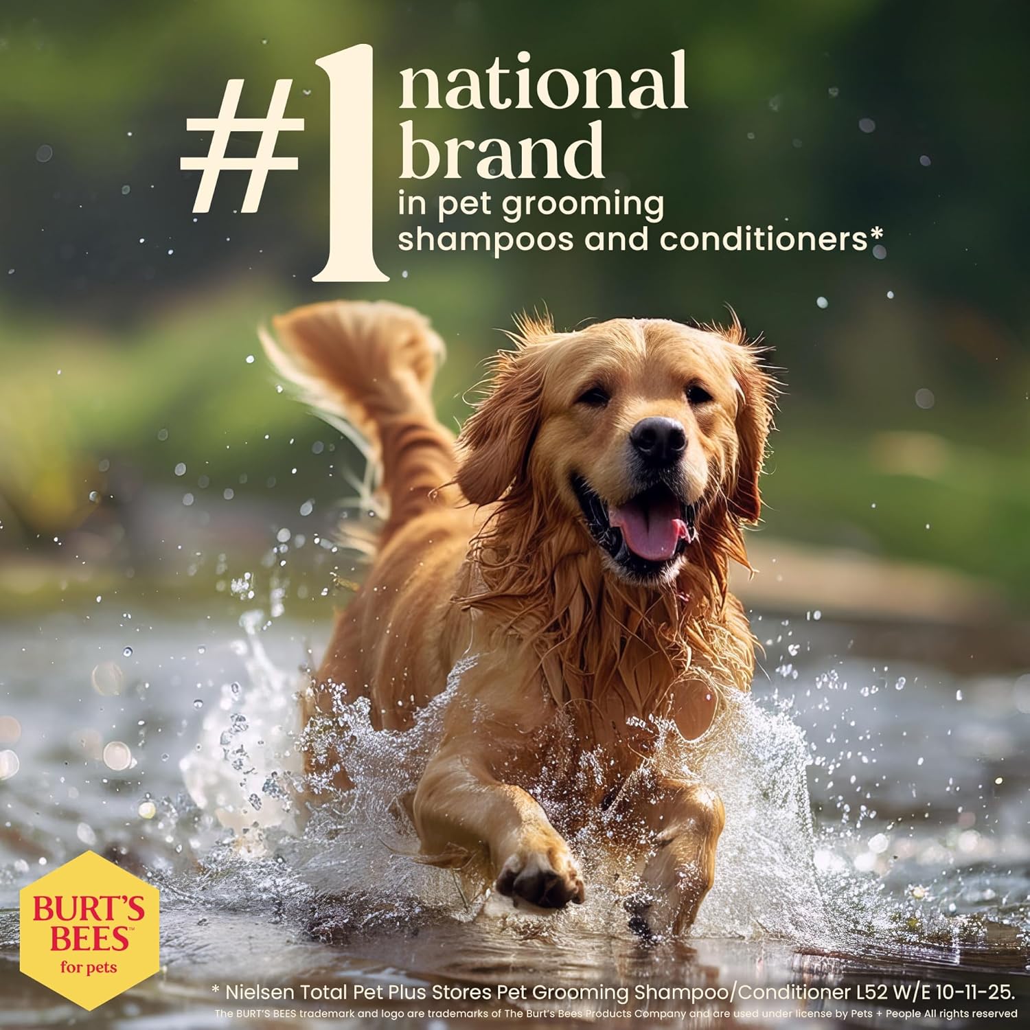 Burt's Bees for Pets Deodorizing Dog Shampoo with Apple and Rosemary, 95% Natural Origin, pH Balanced Deodorizing Shampoo for Smelly Dogs, Free of Sulfates, 16 Fl Oz - Image 5