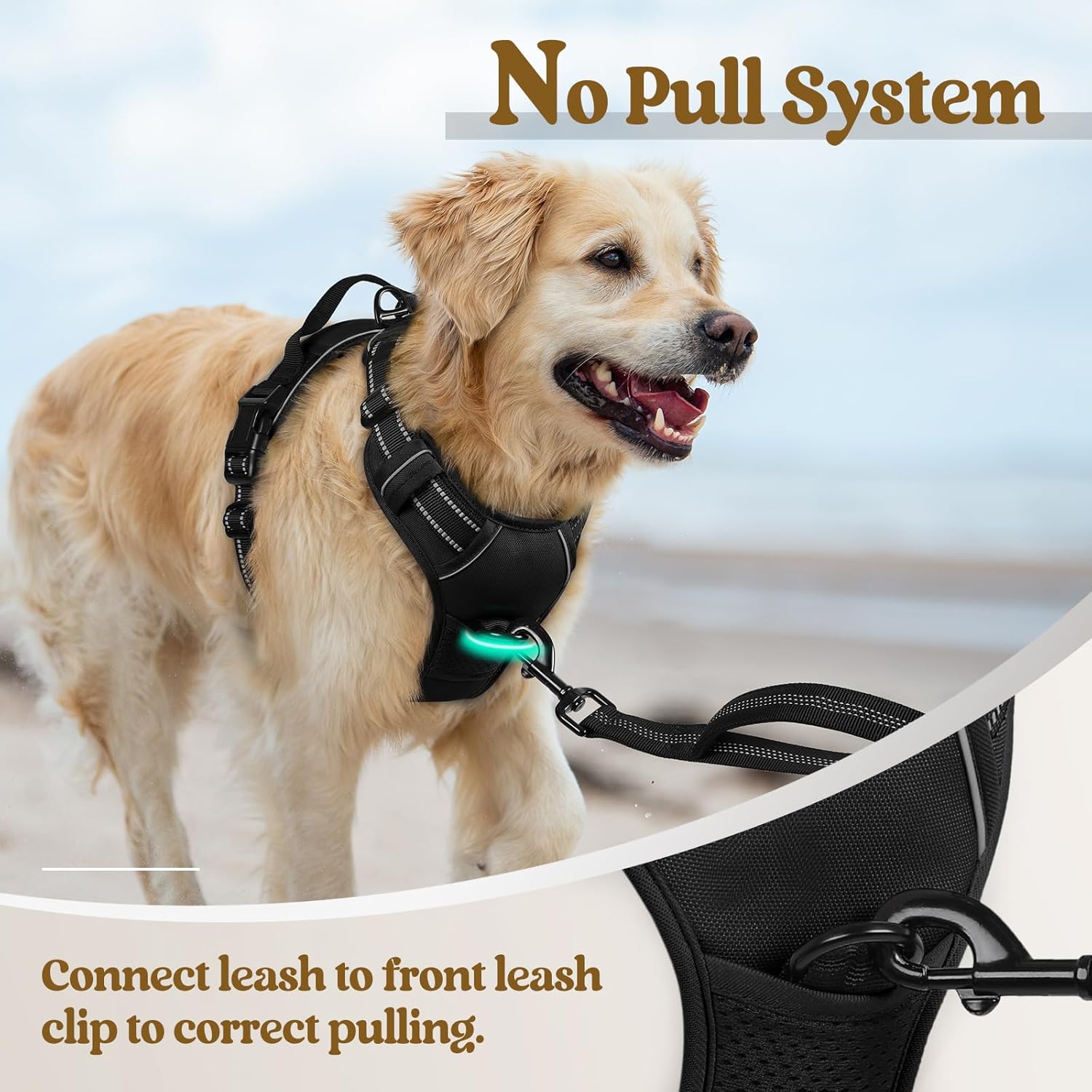 rabbitgoo Dog Harness No Pull with 2 Leash Clips, Adjustable Soft Padded, Reflective Oxford No Choke Pet Vest with Easy Control Handle for Medium Sized Dogs, Black, M - Image 5