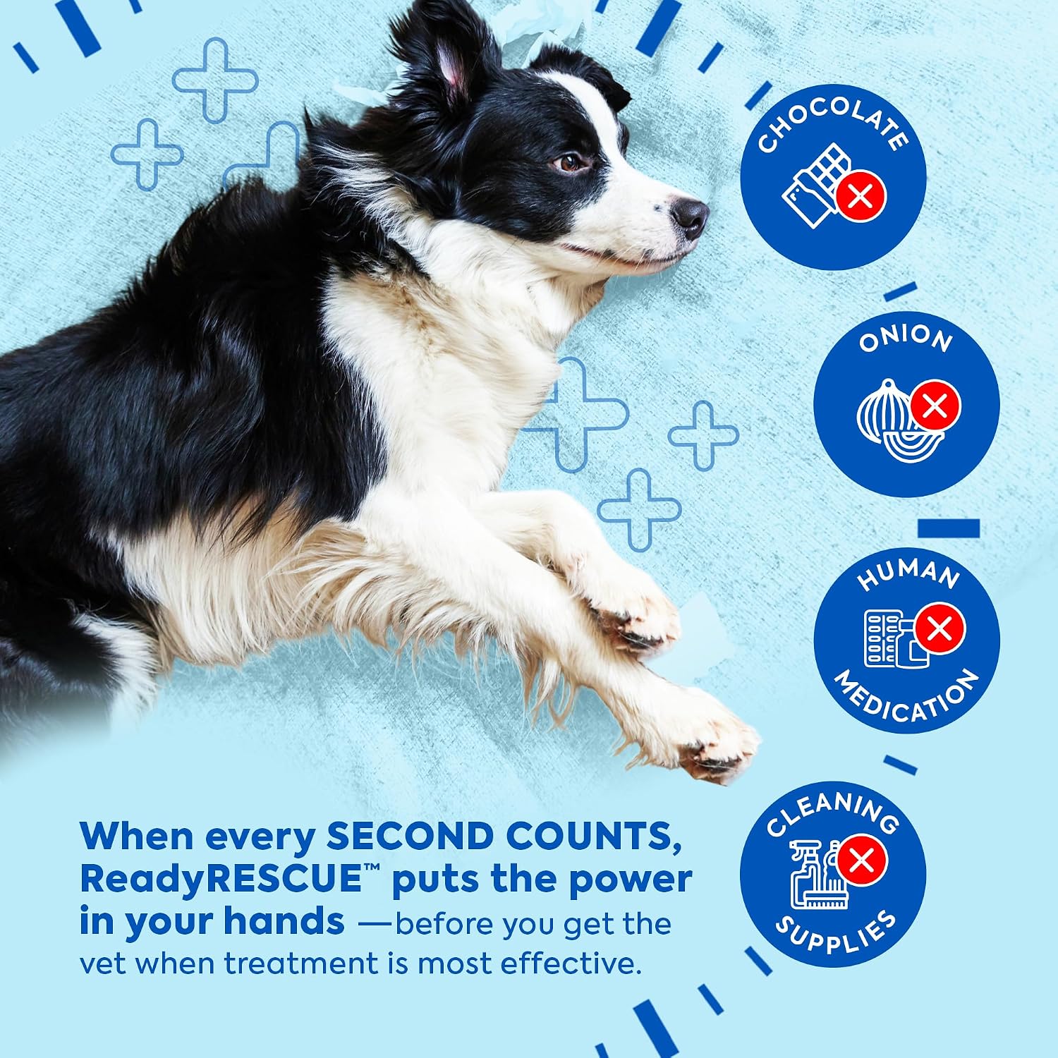 ReadyRESCUE Activated Charcoal microspheres for Dogs and Cats - Veterinary-Grade Pet First Aid Kit Essential - Fast Acting Emergency Poison Binder - Safe and Travel Ready - 30 g Pack of ​3 - Image 7