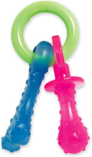 Nylabone Puppy Pacifier Chew Toy, T...