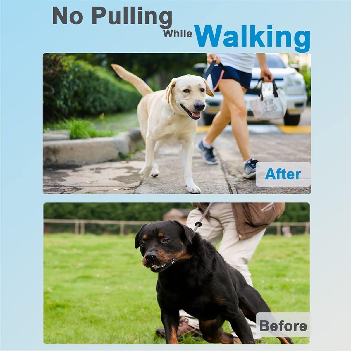 Prong Collar for Dogs, Dog Training Collar, Adjustable Size Dog Pinch No Pull Collar with Quick Release Buckle for Small Medium Large Dogs(Packed with Two Extra Links) - Image 2