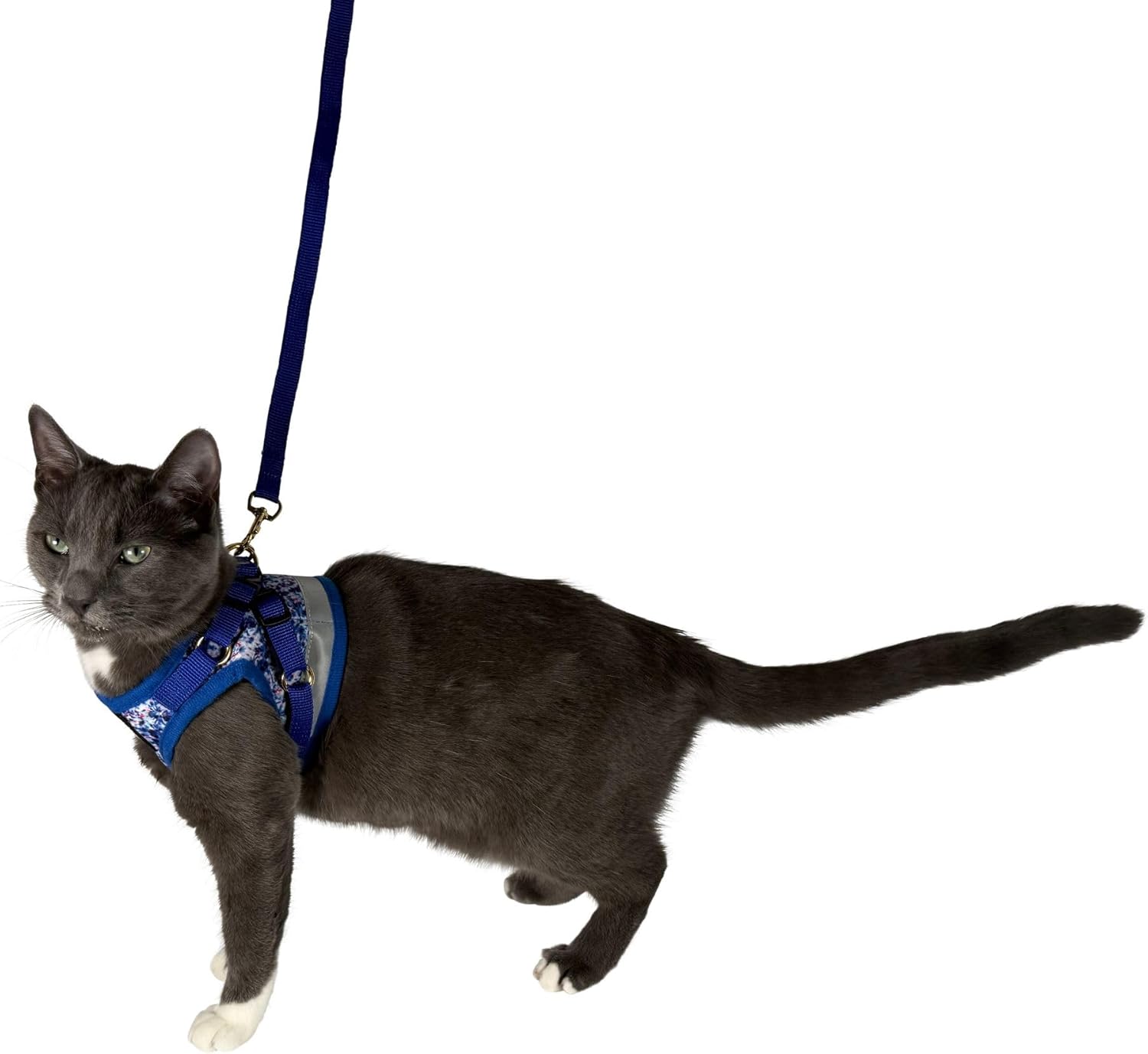 Travel Cat Harness and Leash Set - Adjustable Fit Mesh Cat Harness and Reflective Strap - Comfort Walking Vest for Kitten for Outdoor Walking, Hiking (Small, Groovy) - Image 8