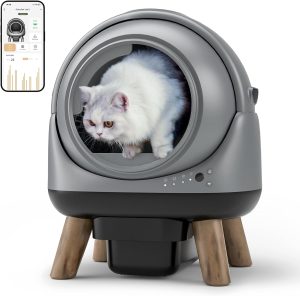 Cat Litter Boxes
