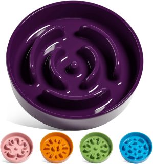 LE TAUCI Ceramic Slow Feeder Dog Bo...