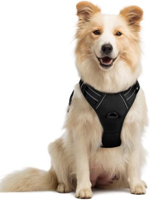 rabbitgoo Dog Harness No Pull with ...