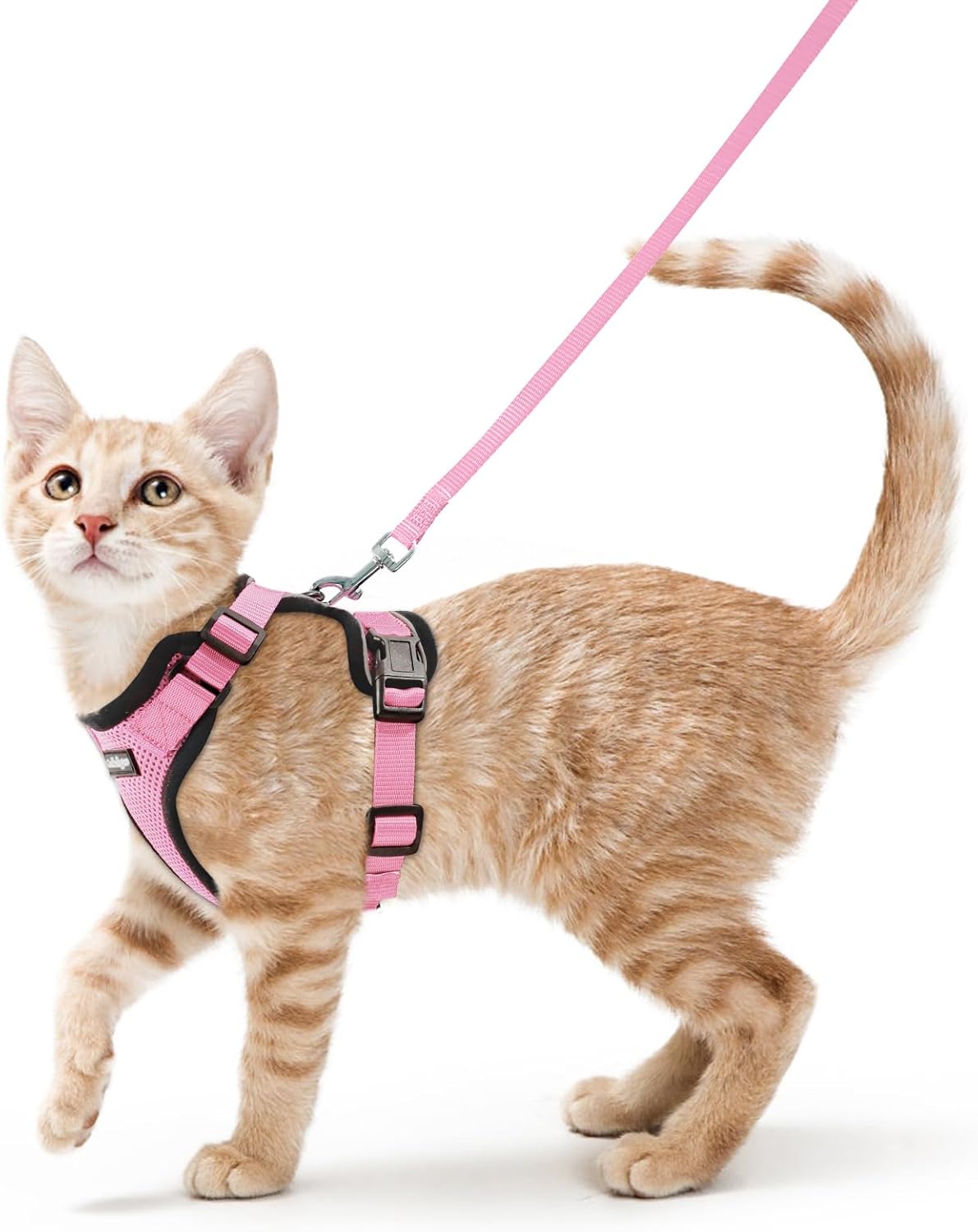 rabbitgoo Cat Harness and Leash Set, Escape Proof Kitten Harness for Safe Outdoor Walks, Soft Breathable Adjustable Vest with Reflective Strips for Kittens and Small Cats, Pink, Xs