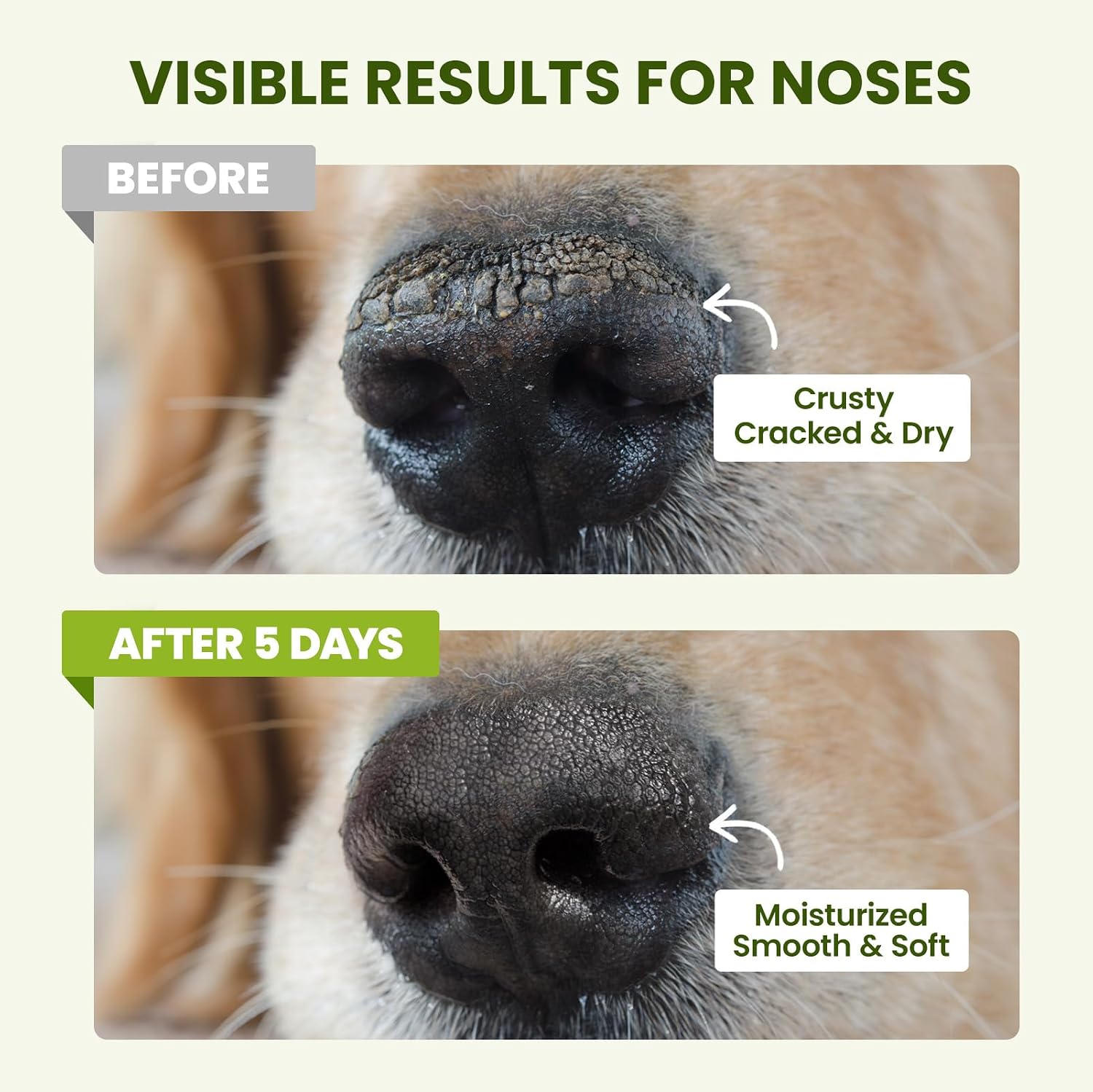 PawSono Lick-Safe Dog Paw & Nose Balm with Coconut Oil | All-Natural Moisturizer & Soother for Dry, Cracked Pads & Snout | Heat & Cold Pavement Protection Wax | Horse Hoof, Joint Care (1.3 oz - Image 5