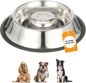 Neater Pet Brands Stainless Steel S...