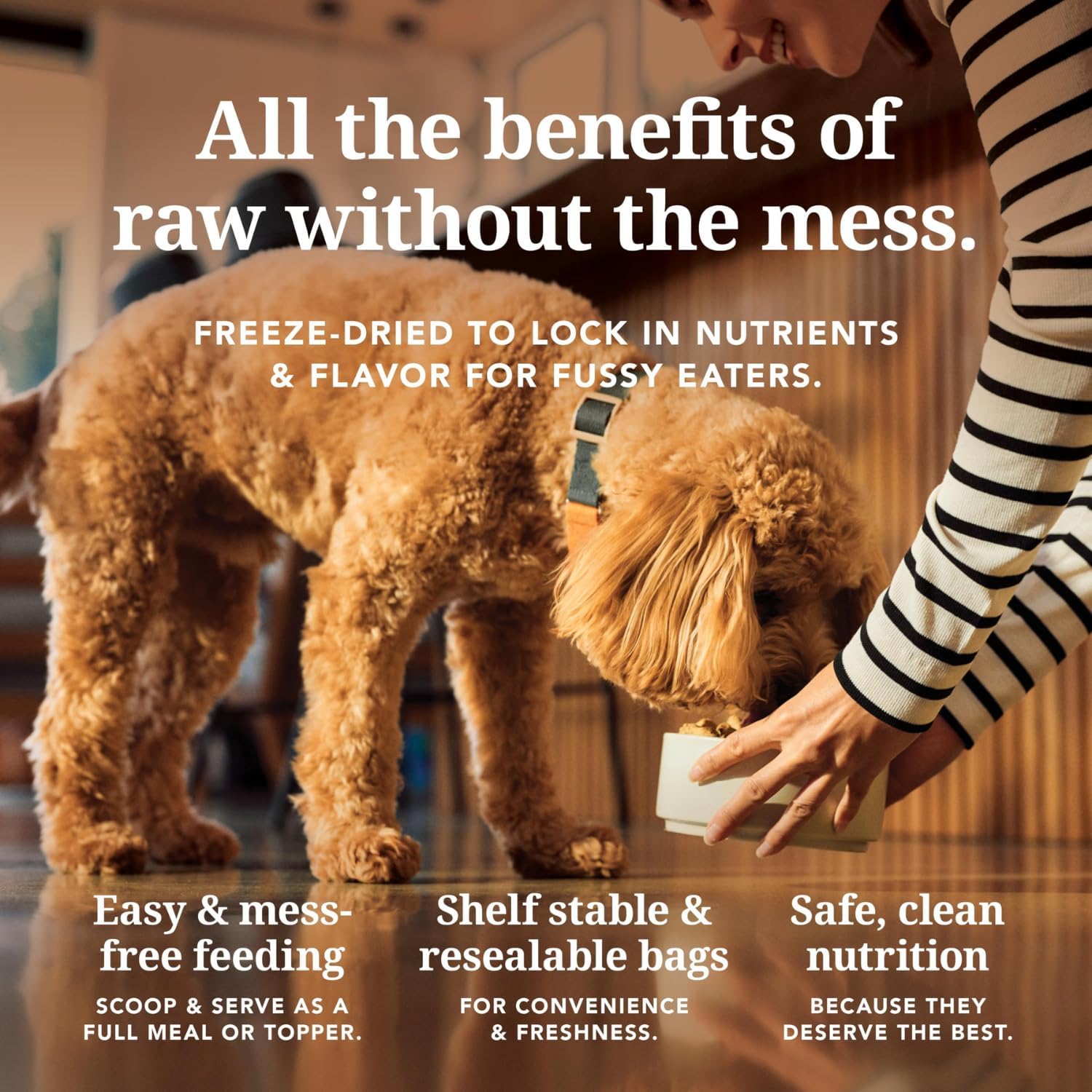 K9 Natural Beef Freeze Dried Dog Food, High-Meat Natural Complete Meal or Meal Toppers for Dogs, Grass-Fed Beef from New Zealand, Grain-Free, GMO-Free, Complete & Balanced Nutrition, 17.6oz - Image 5