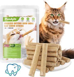 Cat Dental Care