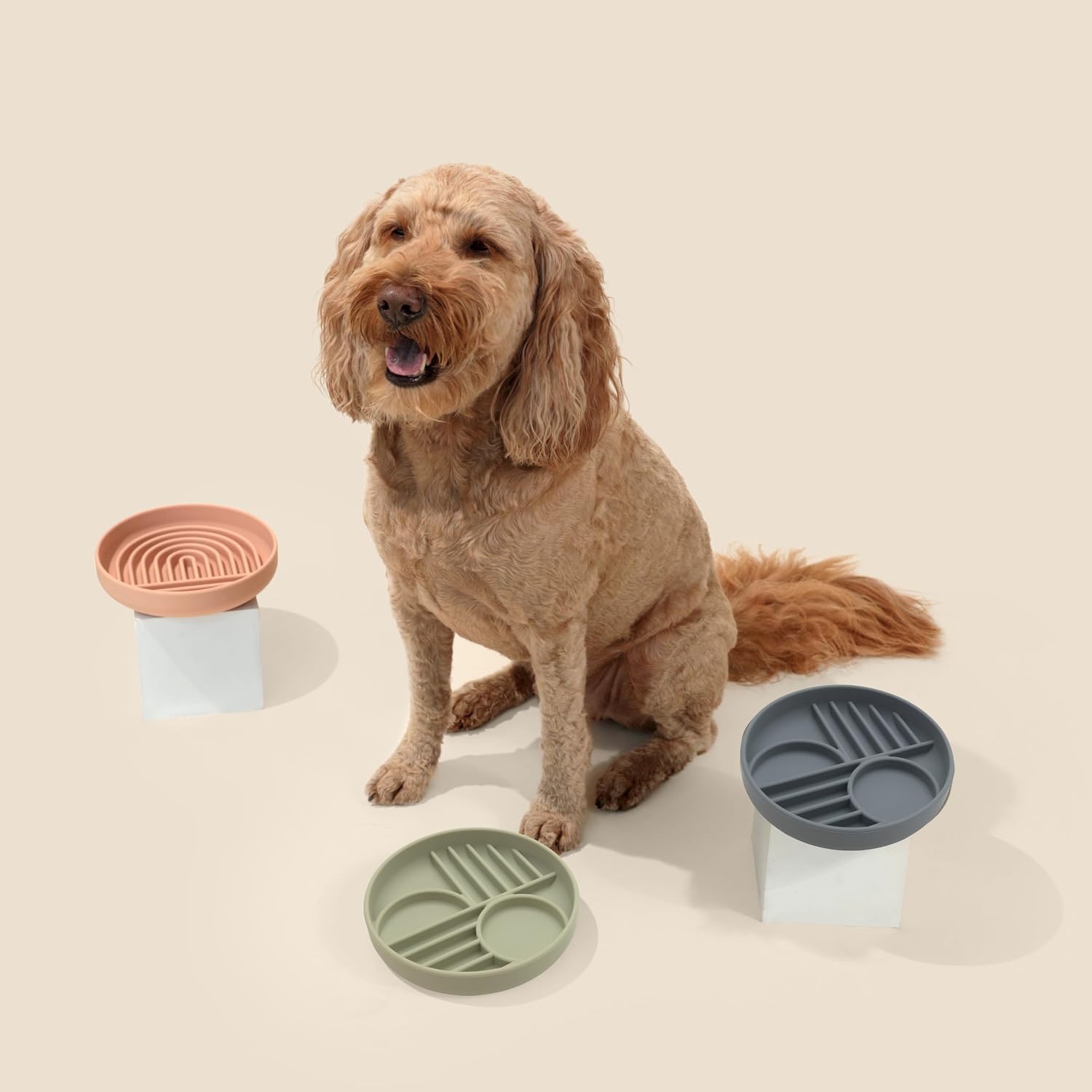 Should We Go? Slow Feeder Dog Bowls - Medium Size Silicone Slow Eating Dog Bowl for Puppies & Dogs with Suction Cup -Dishwasher-Safe, Lick Mat Design, Reduces Gulping,for All Breeds,7.5”x1.5”- Sage - Image 5