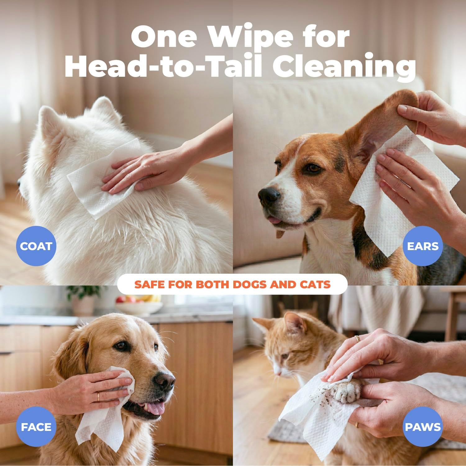 Best Pet Supplies 8" x 9" Large Dog Wipes - Cleaning and Deodorizing for Paws and Coat - Gentle Formula with Lavender Vitamin E for Puppies and Cats - 100 Count - Image 3