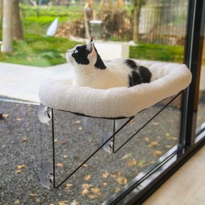 Zakkart Cat Window Perch – 10...