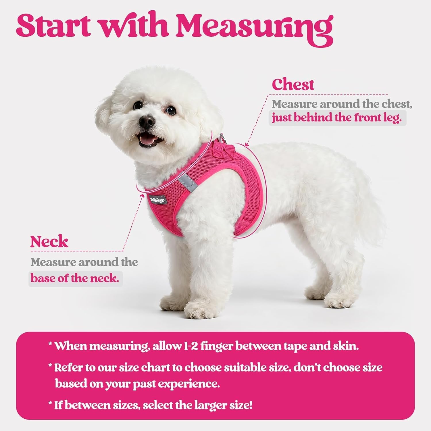 rabbitgoo Dog Harness Small Sized and Leash Set, Step in Soft Light Puppy Vest, Breathable Mesh Pet Harness, Reflective for Safe Easy Walking, Rose Red S - Image 2
