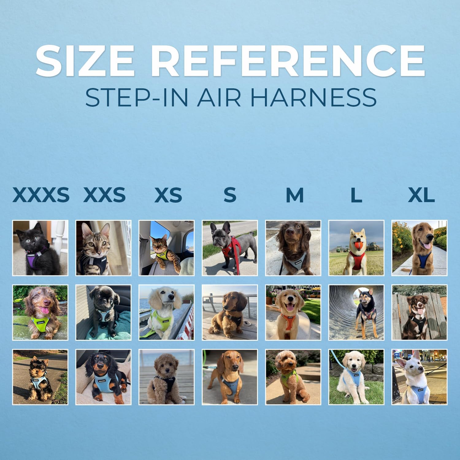 Best Pet Supplies Voyager Step-in Air Harness - All Weather Mesh, Reflective, No Pull Harness for Dogs, Cats - Secure with Hook & Loop Fastener, Buckle, Double D-Rings - Moss Green, S - Image 6