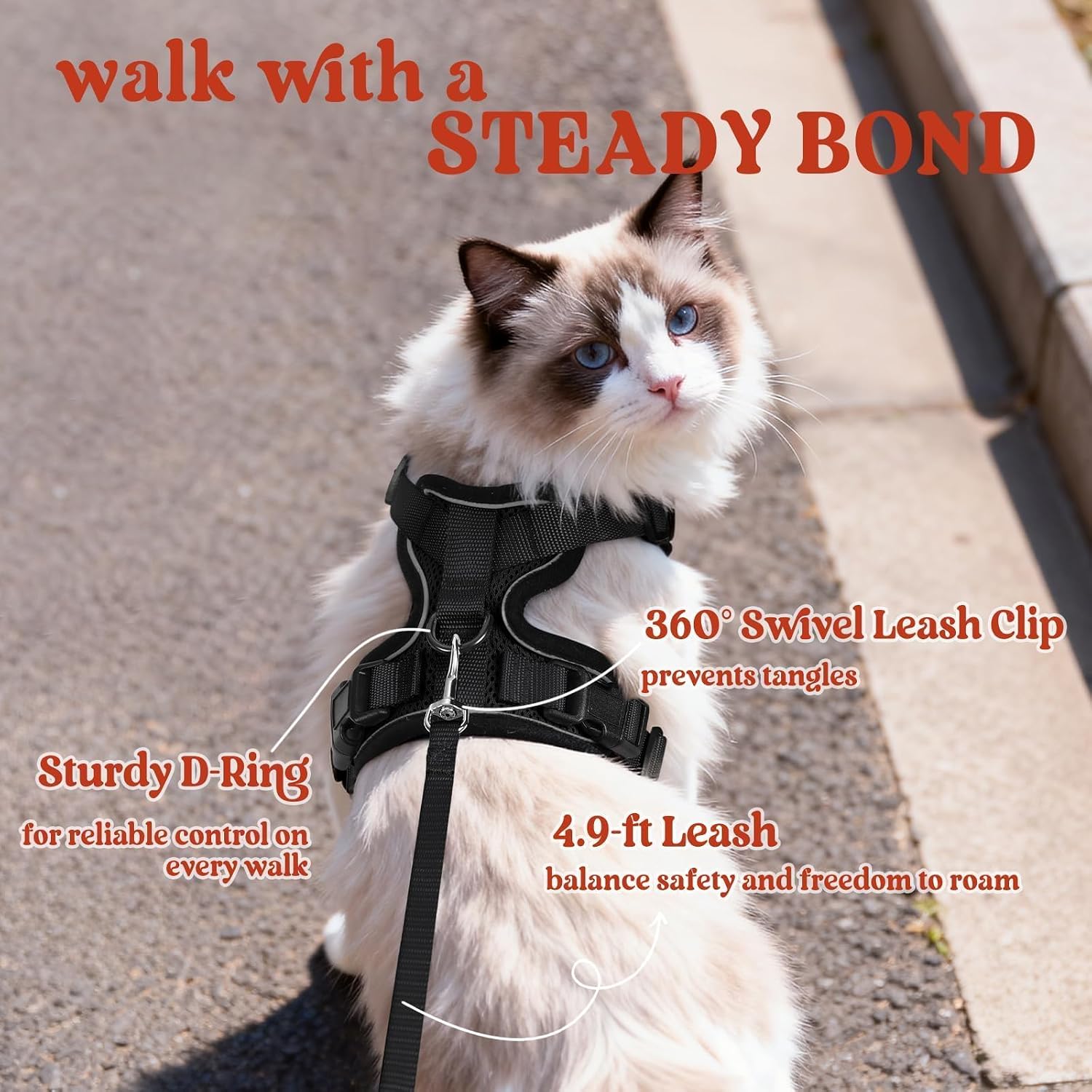 rabbitgoo Cat Harness and Leash Set, Escape Proof Kitten Harness for Safe Outdoor Walks, Soft Breathable Adjustable Vest with Reflective Strips for Kittens and Small Cats, Black, Xs - Image 5
