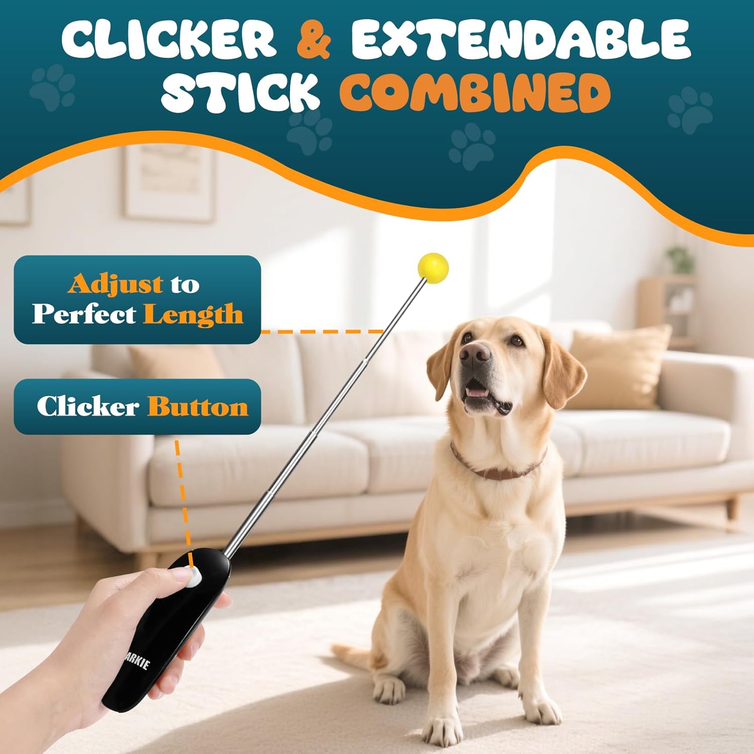 Dog Training Clicker with Target Stick – Portable & Retractable Trainer with Comfortable Handle and Bright Target Ball – Dog Agility Training Aids, Essential Tools & Equipment for Puppies, Cats & Pets - Image 3