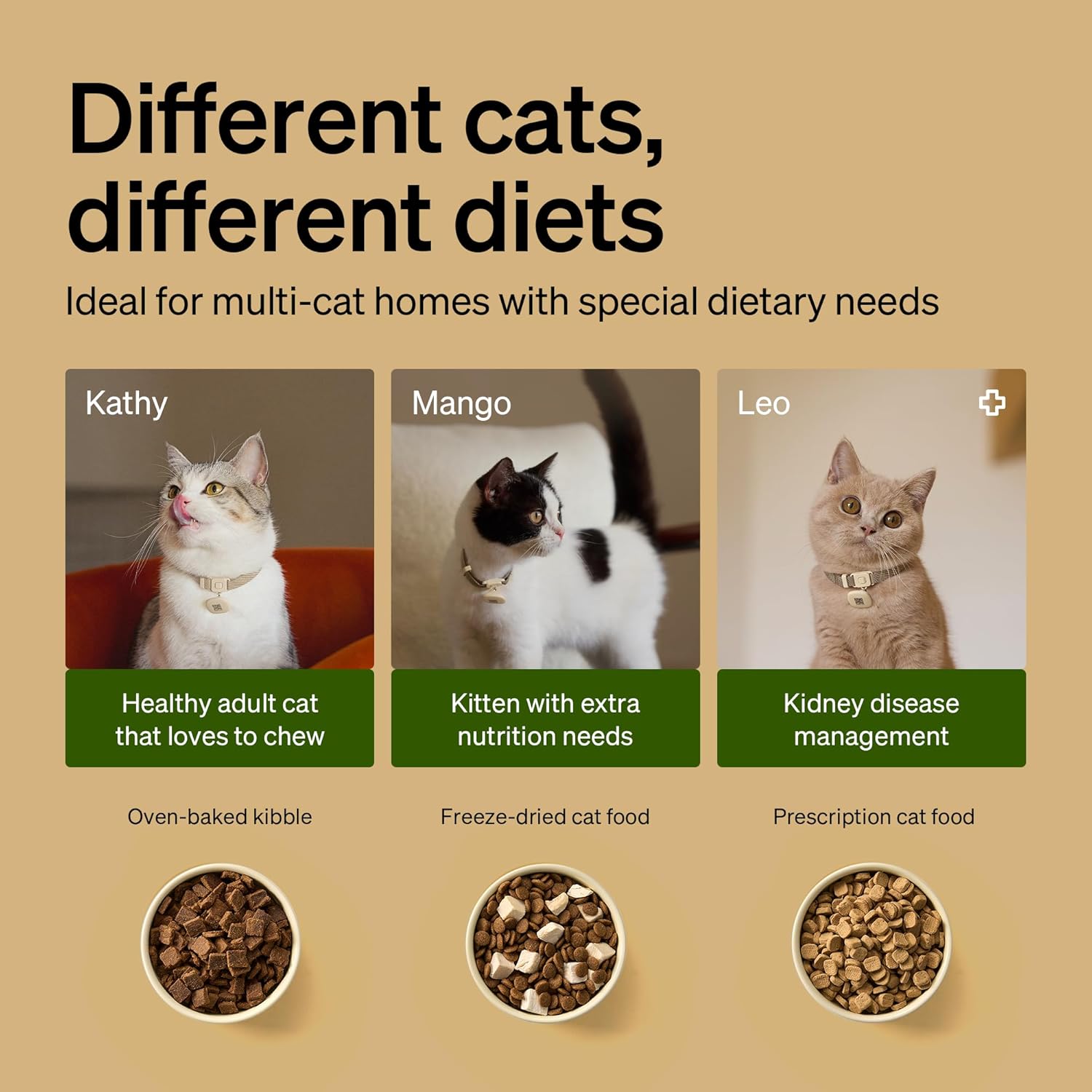 PETLIBRO RFID Cat Feeders for 2 Cats, Collar Sensor for Personalized Meals, Cats Recognition, Diet Tracking and Anti-Stealing for Multi-Pets Homes and Different Diets, Automatic Pet Feeder (Pack of 2) - Image 5
