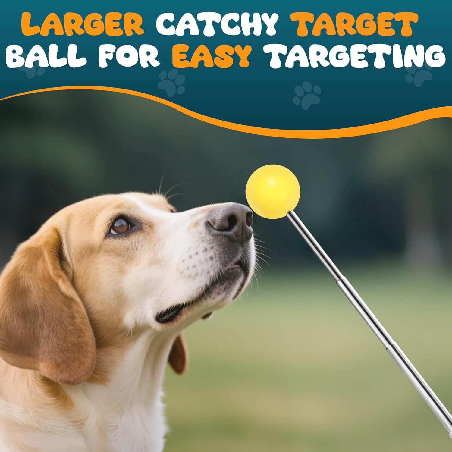 Dog Training Clicker with Target Stick – Portable & Retractable Trainer with Comfortable Handle and Bright Target Ball – Dog Agility Training Aids, Essential Tools & Equipment for Puppies, Cats & Pets - Image 4