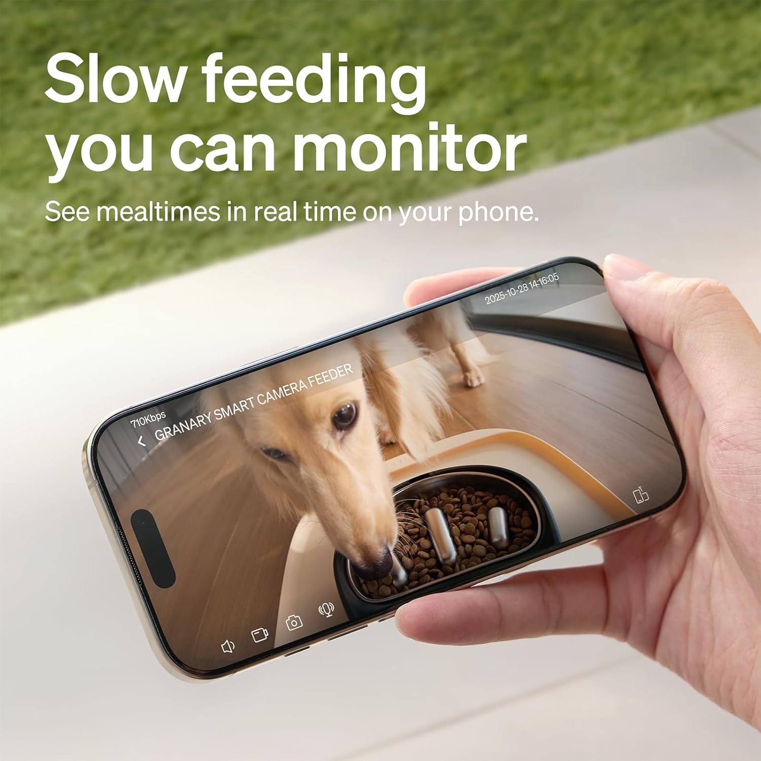 PETLIBRO Automatic Dog Feeder with Camera, Auto Cat Food Dispenser Slow Feeders Dogs Bowl, 1080P HD Video with Night Vision, 5G WiFi with 2-Way Audio, Stainless Steel Slow Food Tray for Small Dogs - Image 3