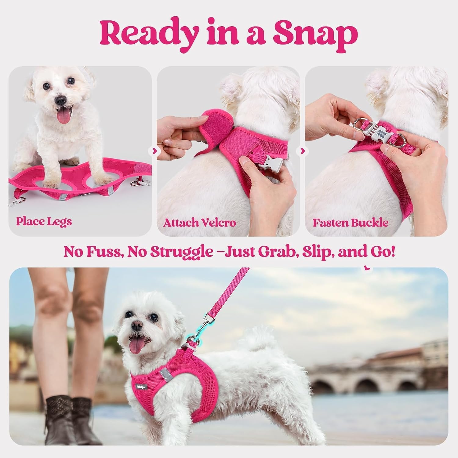 rabbitgoo Dog Harness Small Sized and Leash Set, Step in Soft Light Puppy Vest, Breathable Mesh Pet Harness, Reflective for Safe Easy Walking, Rose Red S - Image 8