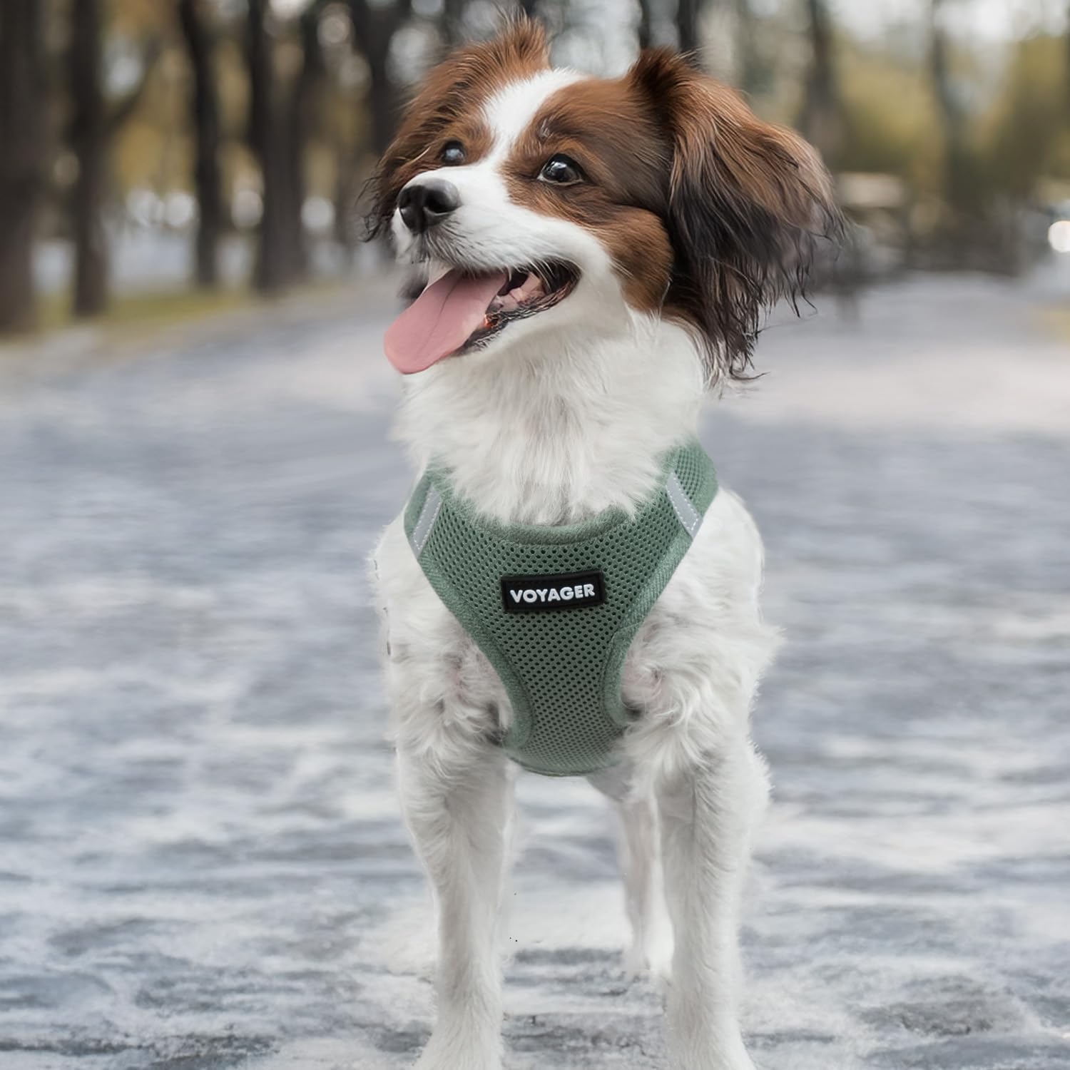 Best Pet Supplies Voyager Step-in Air Harness - All Weather Mesh, Reflective, No Pull Harness for Dogs, Cats - Secure with Hook & Loop Fastener, Buckle, Double D-Rings - Moss Green, S - Image 7