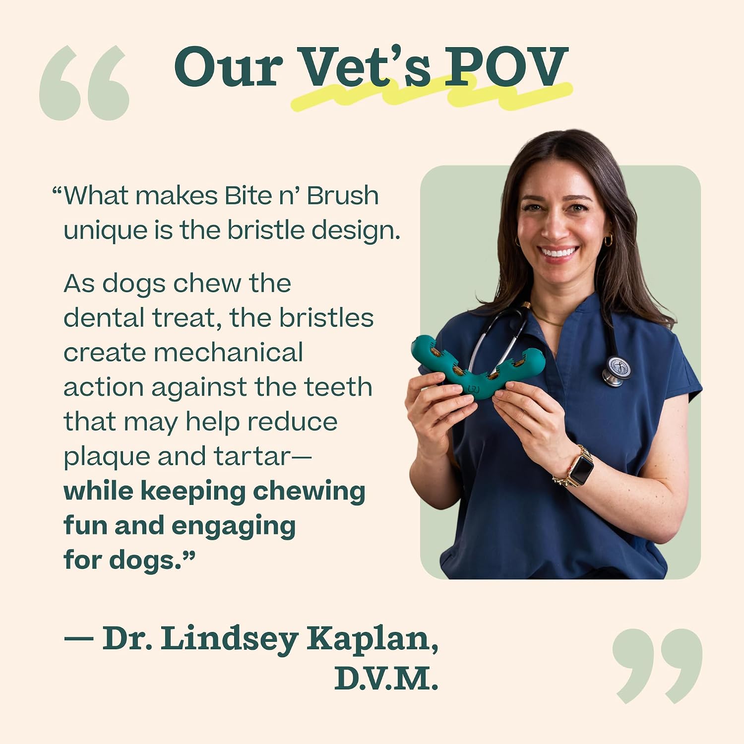 WOOF The Bite n' Brush - Dog Toothbrush Toy - Scrub Plaque and Tartar from Your Dog's Teeth and Mouth - Dog Dental Chew Toy - Small - Image 7