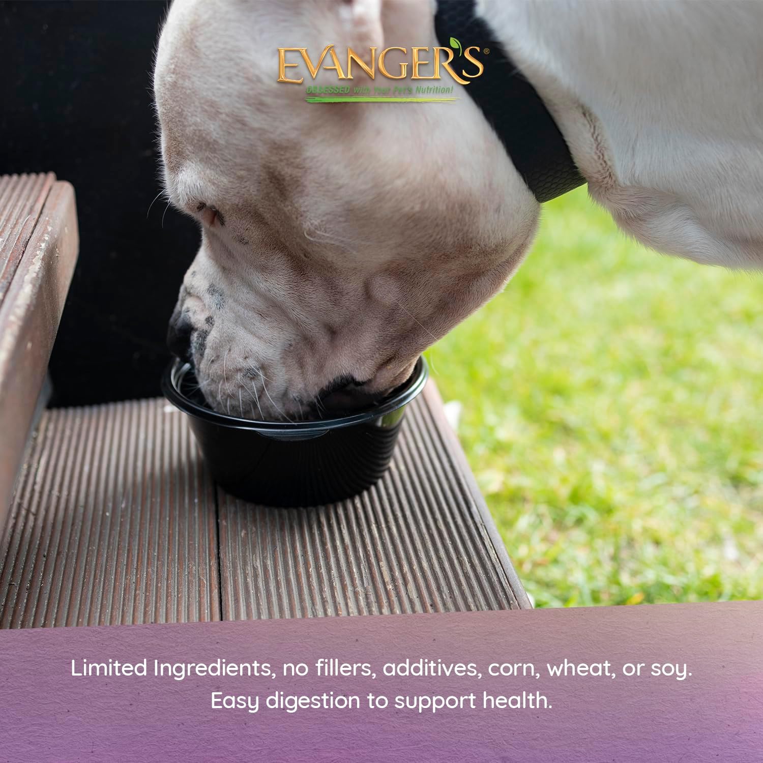 Evanger's Organics Beef Dinner for Dogs – 12 Count, 12.5 oz Each – Qualified Organic, Grain Free, GMO Free – Nutrient-Dense Recipe with Organic Vegetables – Wet Dog Food - Image 3