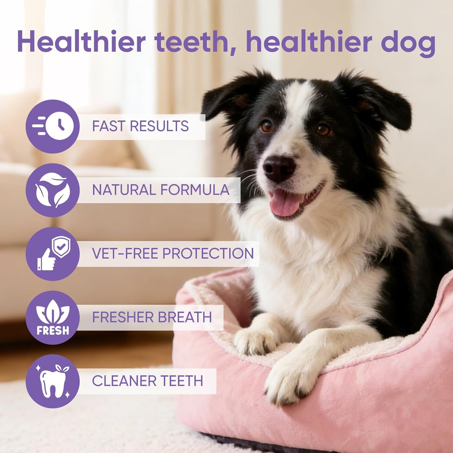 Milolabco Advanced Dental Spray, Dentaclean for Dogs & Cats, Probiotic Oral Care Spray for Fresh Breath, Helps Support Clean Teeth & Healthy Gums - No Brushing (1 Pack) - Image 5