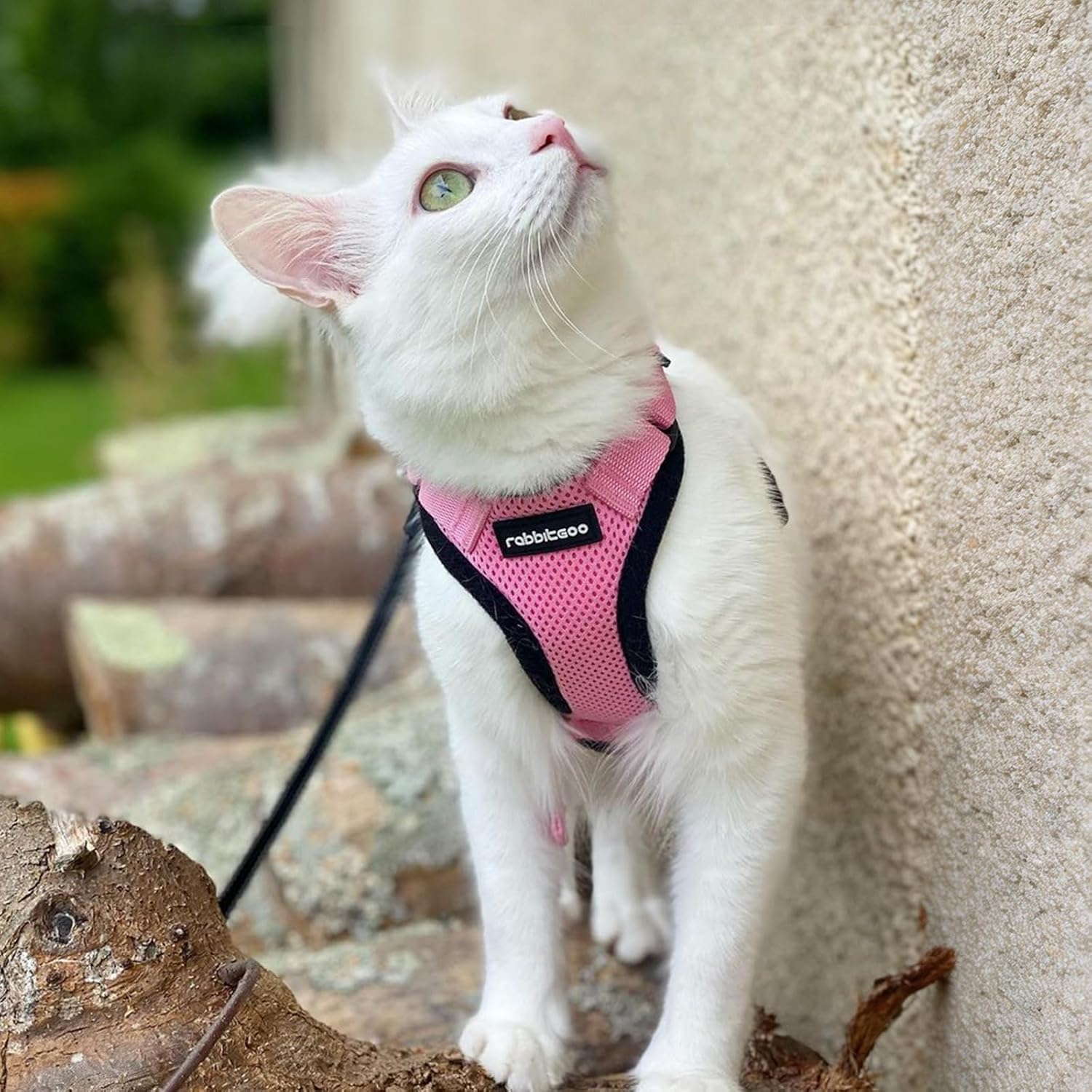 rabbitgoo Cat Harness and Leash Set, Escape Proof Kitten Harness for Safe Outdoor Walks, Soft Breathable Adjustable Vest with Reflective Strips for Kittens and Small Cats, Pink, Xs - Image 9