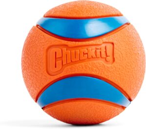 Chuckit! Ultra Ball Dog Toy –...