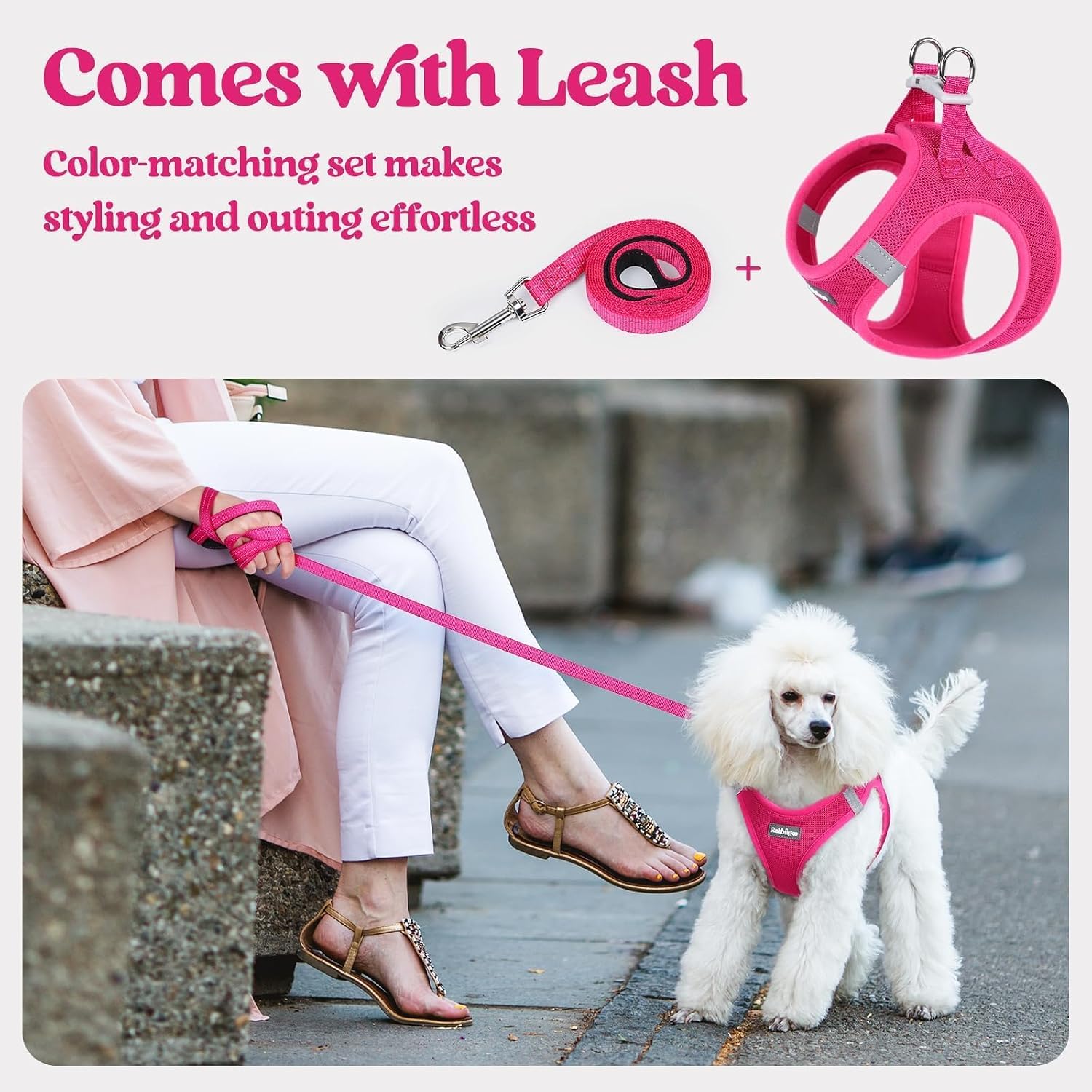 rabbitgoo Dog Harness Small Sized and Leash Set, Step in Soft Light Puppy Vest, Breathable Mesh Pet Harness, Reflective for Safe Easy Walking, Rose Red S - Image 6