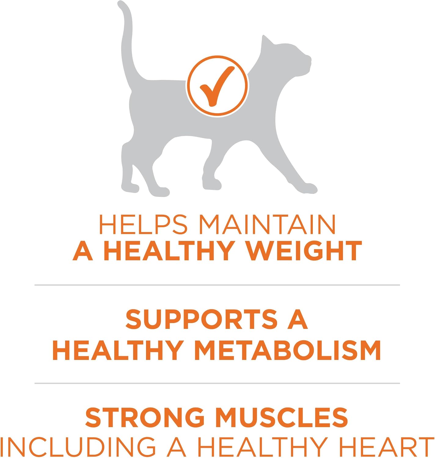 Purina ONE High Protein, Healthy Plus Ideal With Chicken Dry Cat Food Control Formula - 7 lb. Bag - Image 3