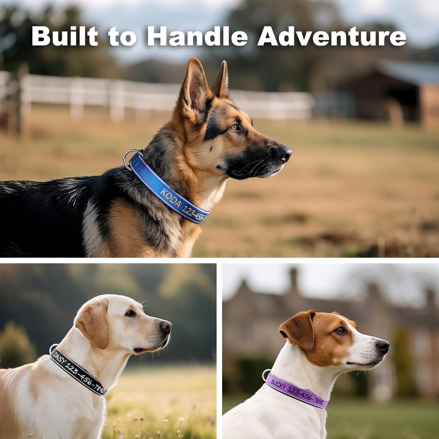 Personalized Dog Collars with Embroidered Name & Phone, Adjustable Reflective Nylon Pet Collar with Neoprene Padding, Custom for Puppy Small Medium Large Dogs - Image 7