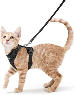 rabbitgoo Cat Harness and Leash Set...