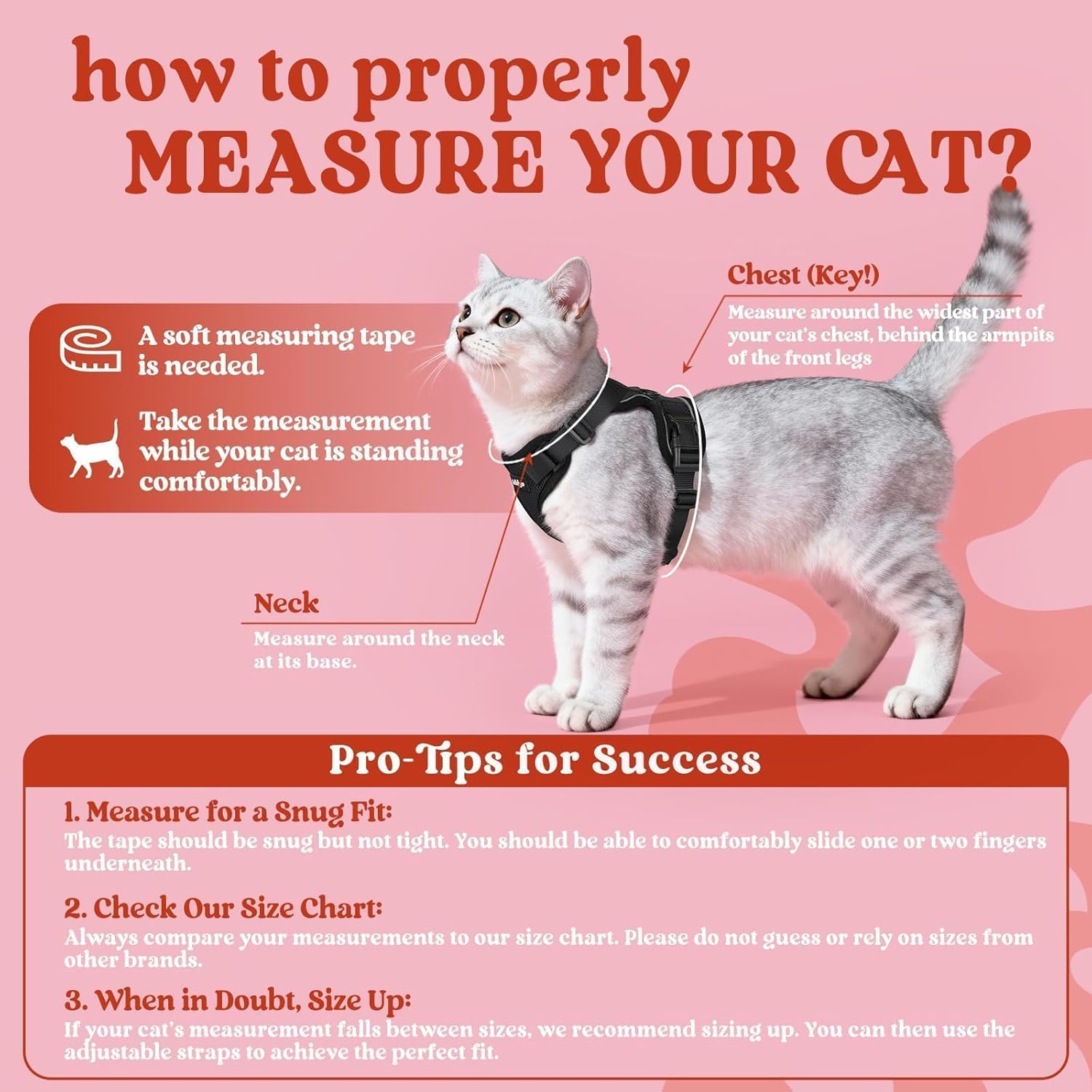 rabbitgoo Cat Harness and Leash Set, Escape Proof Kitten Harness for Safe Outdoor Walks, Soft Breathable Adjustable Vest with Reflective Strips for Kittens and Small Cats, Black, Xs - Image 2