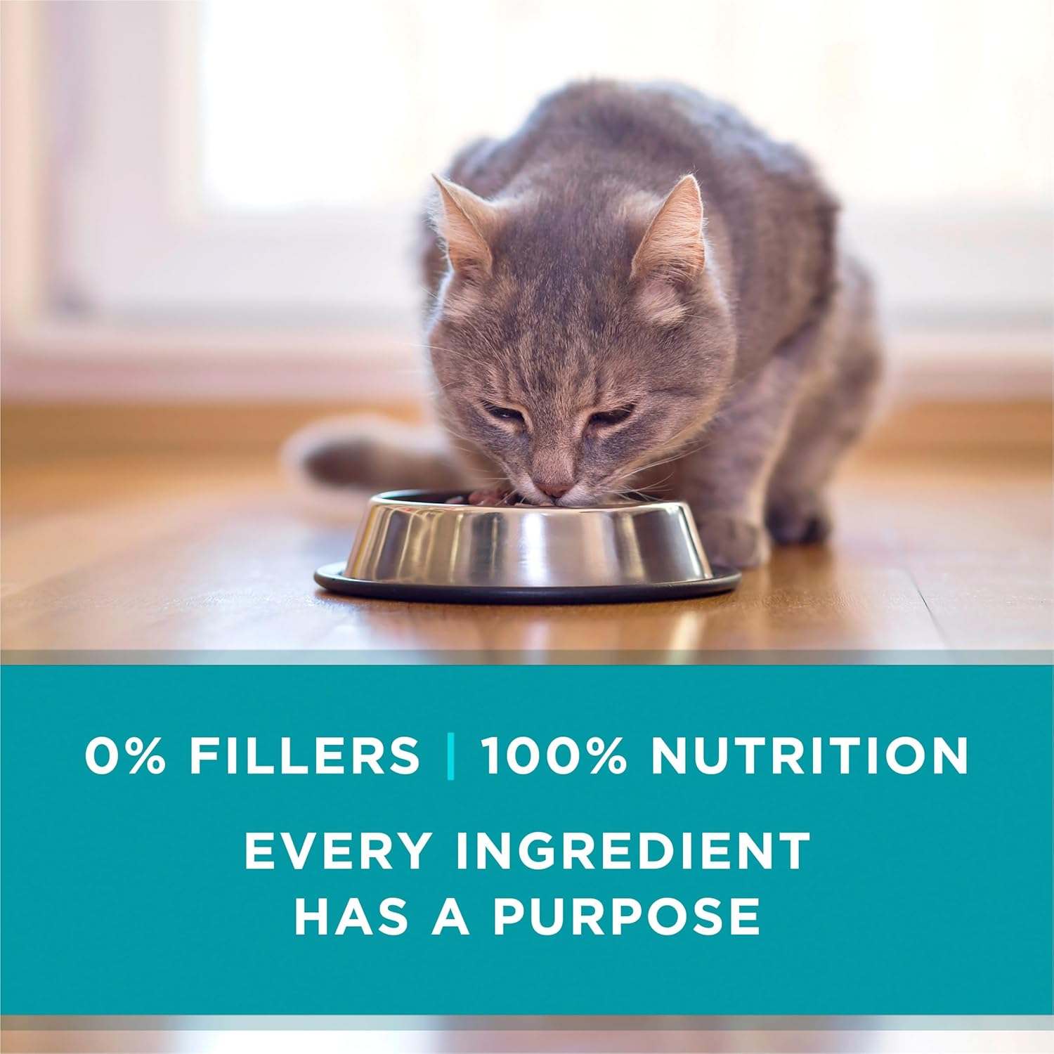 Purina ONE High Protein, Grain Free Pate Wet Cat Food Variety Pack, Grain Free Formula - (Pack of 24) 3 oz. Cans - Image 9