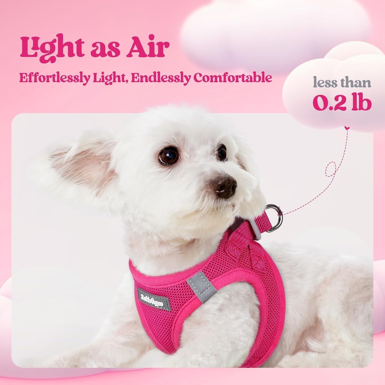 rabbitgoo Dog Harness Small Sized and Leash Set, Step in Soft Light Puppy Vest, Breathable Mesh Pet Harness, Reflective for Safe Easy Walking, Rose Red S - Image 3
