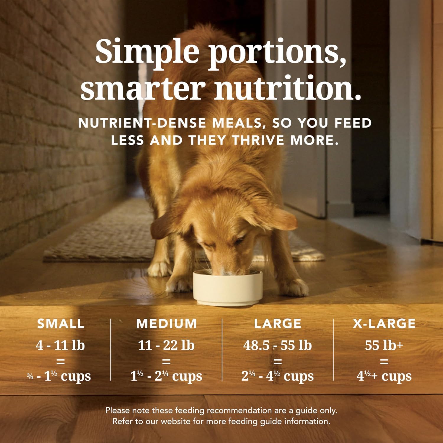 K9 Natural Beef Freeze Dried Dog Food, High-Meat Natural Complete Meal or Meal Toppers for Dogs, Grass-Fed Beef from New Zealand, Grain-Free, GMO-Free, Complete & Balanced Nutrition, 17.6oz - Image 7