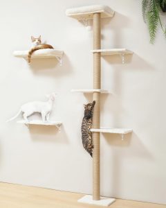 Cat Trees