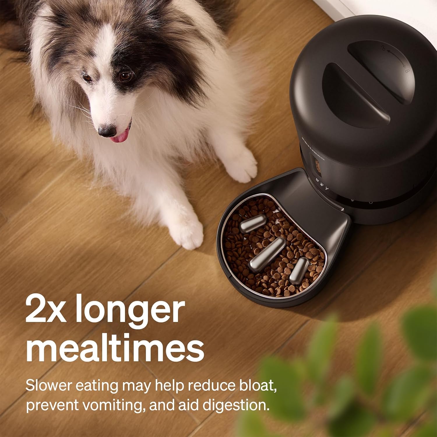 PETLIBRO Automatic Dog Feeder with Camera, Auto Cat Food Dispenser Slow Feeders Dogs Bowl, 1080P HD Video with Night Vision, 5G WiFi with 2-Way Audio, Stainless Steel Slow Food Tray for Small Dogs - Image 4
